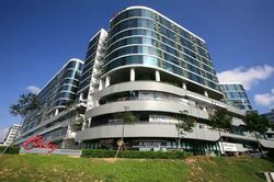 Oxley Bizhub (D14), Factory #556839441